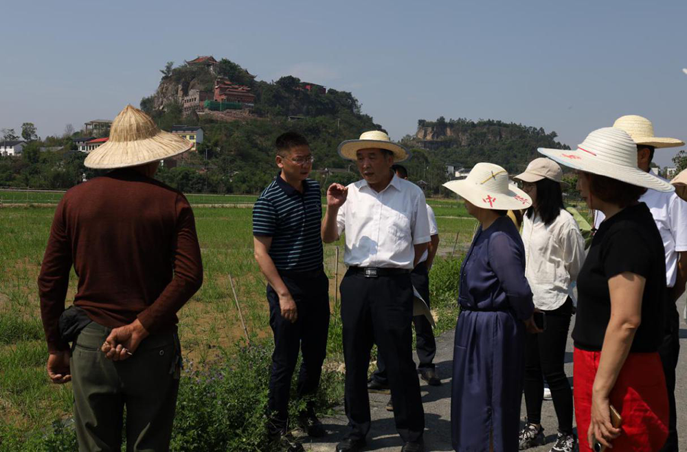 1684978337527268.png 1684978337527268.png